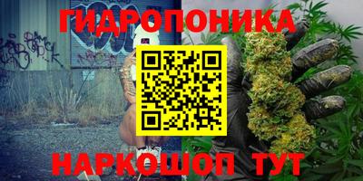 дмт Будённовск