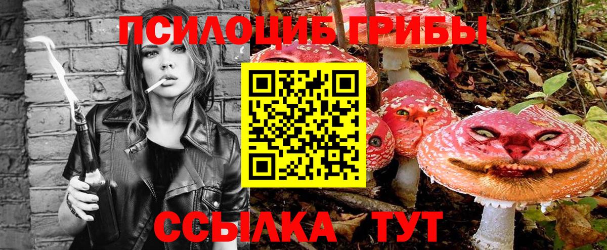 Галлюциногенные грибы Magic Shrooms  Вход с VPN  Энгельс  сколько стоит  Галлюциногенные грибы прущие грибы 